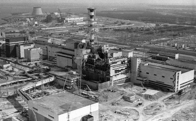 切尔诺贝利核事故过去了34年,里面的动物变异成了什么样?