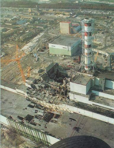 切尔诺贝利核事故过去了34年,里面的动物变异成了什么样?