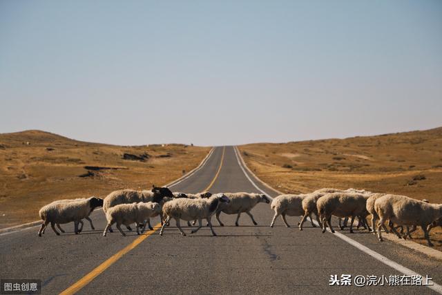 一种新的旅游方式,正悄悄改变我们的旅游