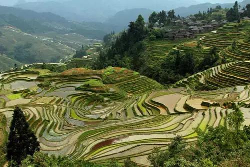 中国最美旅游景点,你去过几个地方?