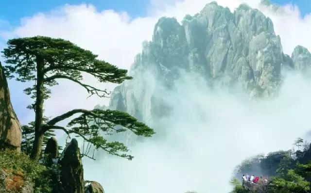 中国最美旅游景点,你去过几个地方?