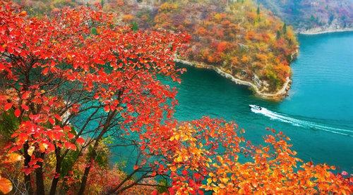 河南最适合自驾的八大景区:人少景美,有4个还不要门票!
