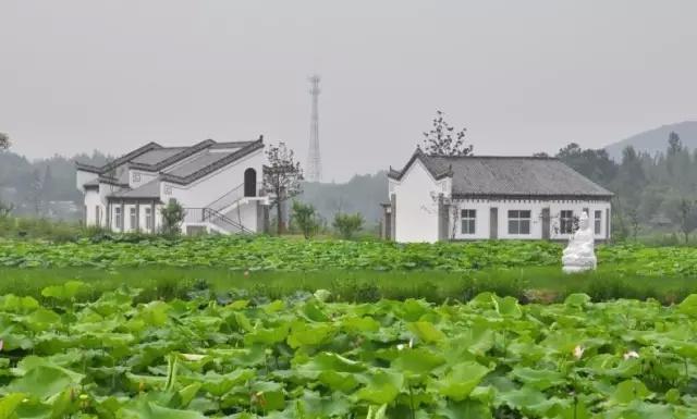 河南最适合自驾的八大景区:人少景美,有4个还不要门票!