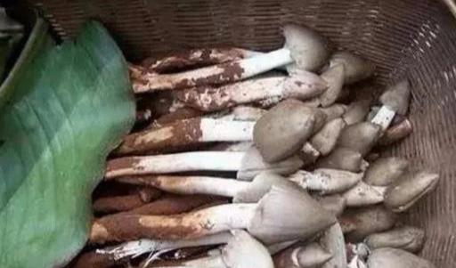 农村即将消失的四大美食,00后表示没吃过,说不定你见过