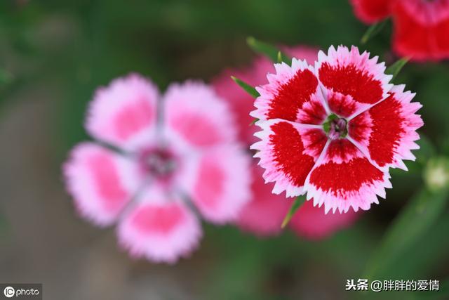 生活,无需复杂,简单就足够了;人生,无需繁华,只需平淡就够了