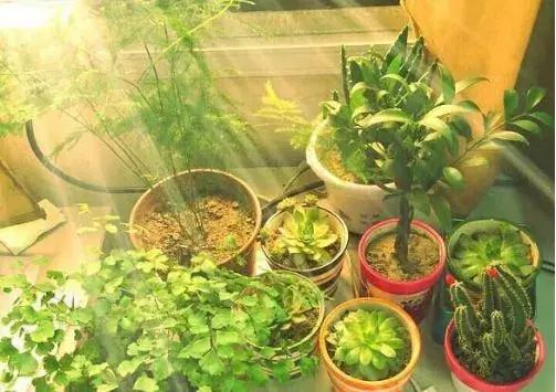 十大健康生活方式!(建议永久坚持)