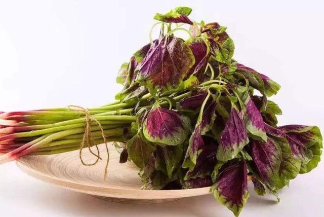 红苋菜、绿苋菜,哪种更好吃,哪种更有营养?知道后别再瞎买了