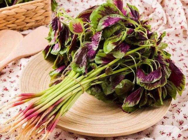 红苋菜、绿苋菜,哪种更好吃,哪种更有营养?知道后别再瞎买了