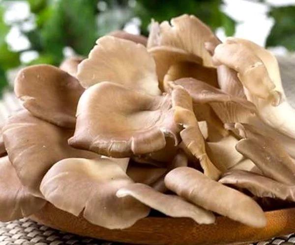 宁愿不吃也别碰以下4种“蔬菜”,寄生虫“成堆”,喜欢也要少吃