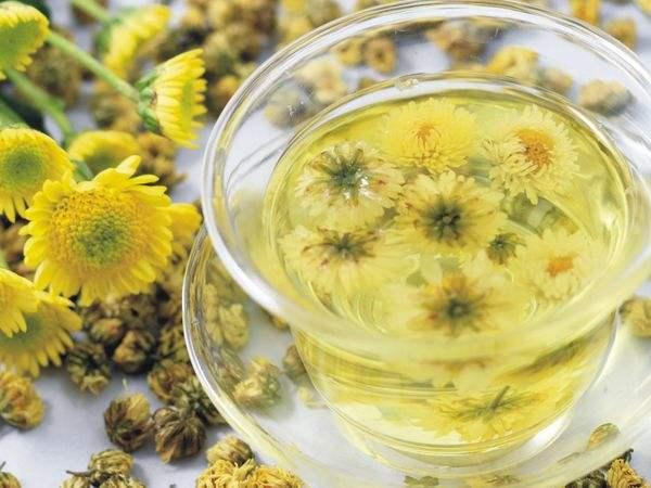 夏天适合喝什么花茶?这五种花茶清热去火解暑气,简直居家必备