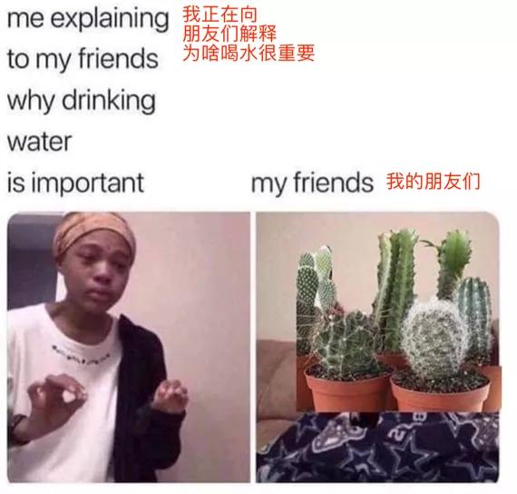 观摩了网友们的“喝水神教”后,我也有点上头了