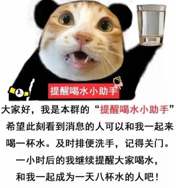 观摩了网友们的“喝水神教”后,我也有点上头了