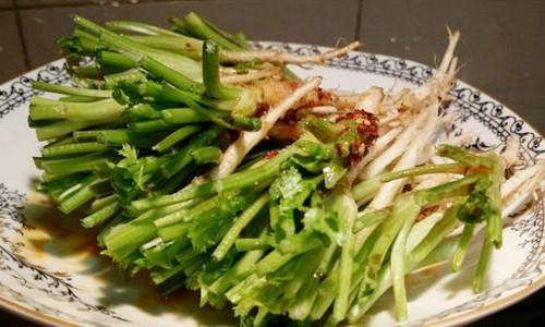 如果你每天都吃香菜会发生什么,你知道吗?