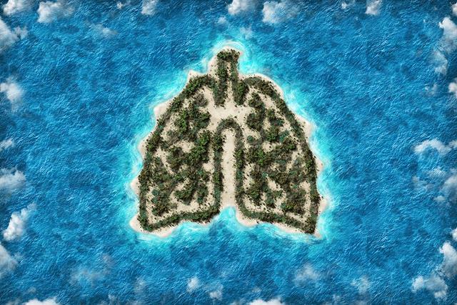 肺好不好,看手就知道?若手上没有3个表现,说明肺部比较健康