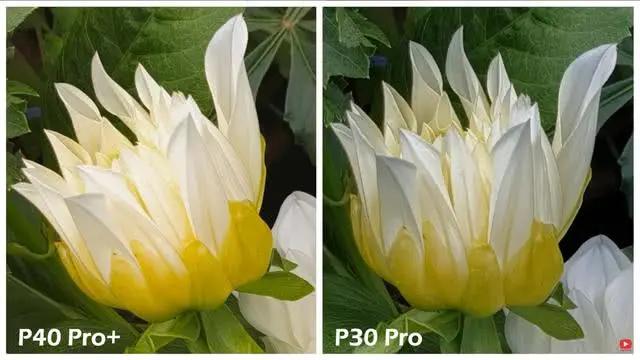 华为P40Pro+和华为P30Pro拍照对比:都是旗舰到底要不要升级?