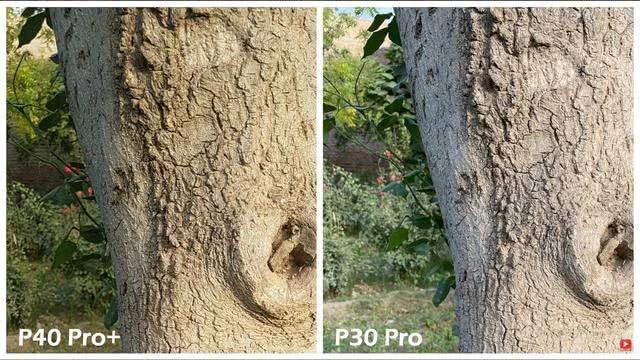 华为P40Pro+和华为P30Pro拍照对比:都是旗舰到底要不要升级?
