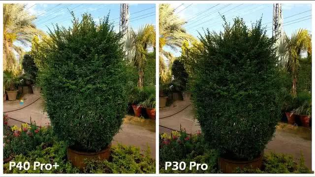 华为P40Pro+和华为P30Pro拍照对比:都是旗舰到底要不要升级?