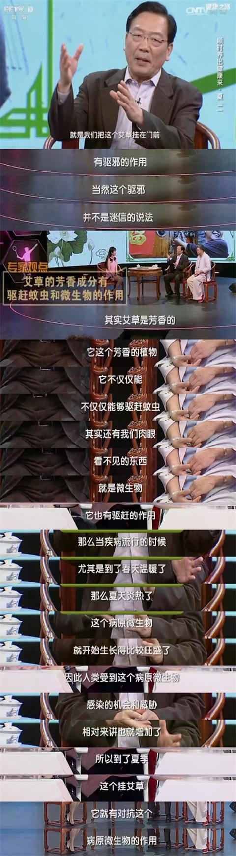 端午插艾避邪并非迷信,草中钻石艾草是古代的“驱虫神器”