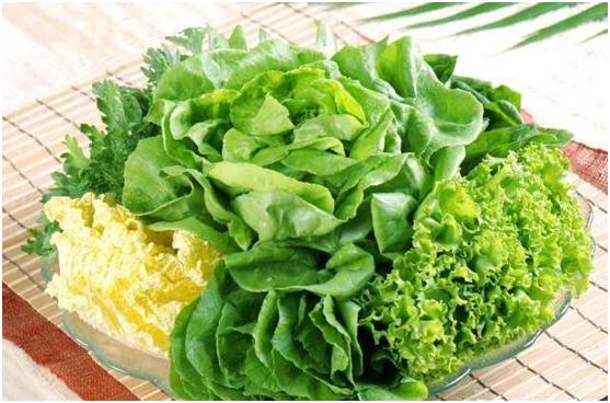 多吃青菜对身体好,可是该怎么选购?看完快告诉身边人
