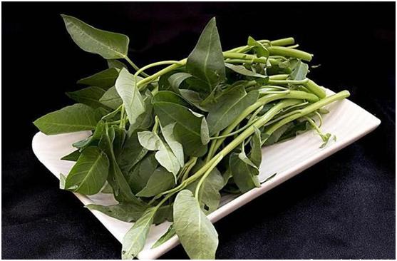 多吃青菜对身体好,可是该怎么选购?看完快告诉身边人