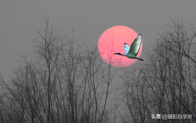 简单实用摄影技巧4个，不再羡慕别人照片好看，学了你也能拍大片