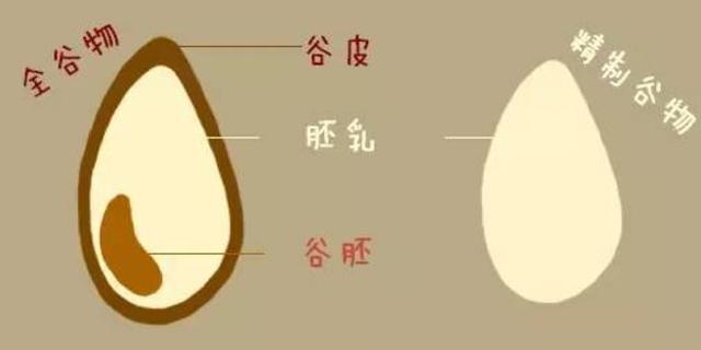 现代饮食非常容易忽略的谷物营养,你中招了吗