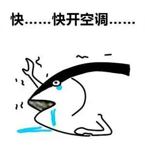 “吹空调会得关节炎”……这几种假养生,你还在相信吗?