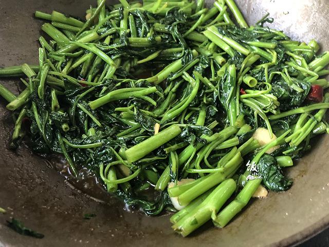 夏天,这3种蔬菜经常吃,正当季正鲜嫩,应季蔬菜要多吃