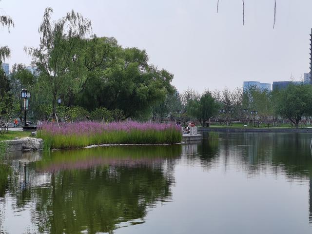 华为P40夏日实拍体验:色彩更加真实,低ISO下噪声更少