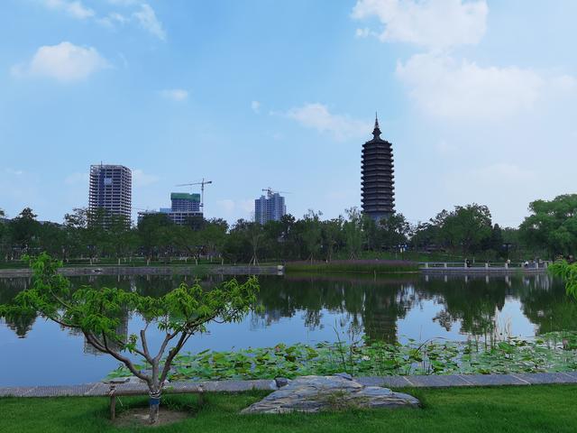 华为P40夏日实拍体验:色彩更加真实,低ISO下噪声更少