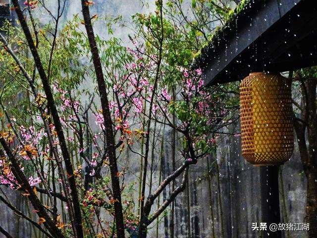 西递宏村的隔壁,还有一个卢村,安静如画却少有人来