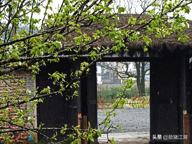 西递宏村的隔壁，还有一个卢村，安静如画却少有人来