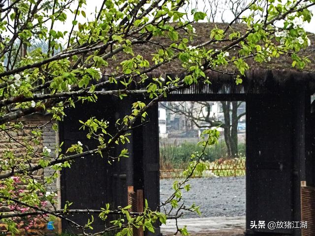 西递宏村的隔壁,还有一个卢村,安静如画却少有人来