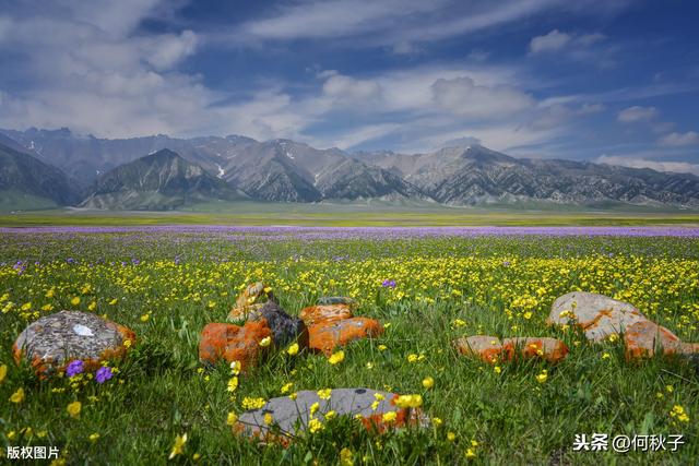 在新疆美到极致、海拔最高的高山湖泊,祝你遇见漫天星河