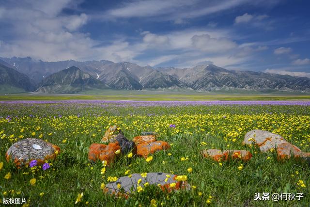 在新疆美到极致、海拔最高的高山湖泊，祝你遇见漫天星河