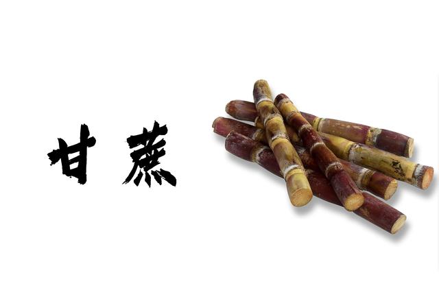 八种润肺的白色食物,你知道多少呢?快来看看吧