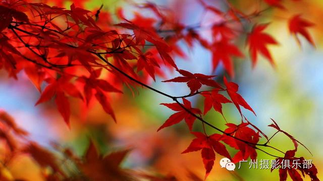 摄影理论篇 摄影师们必须尝试的33个基本功训练手法