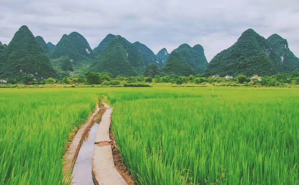 我的生活,是为了生活而生活