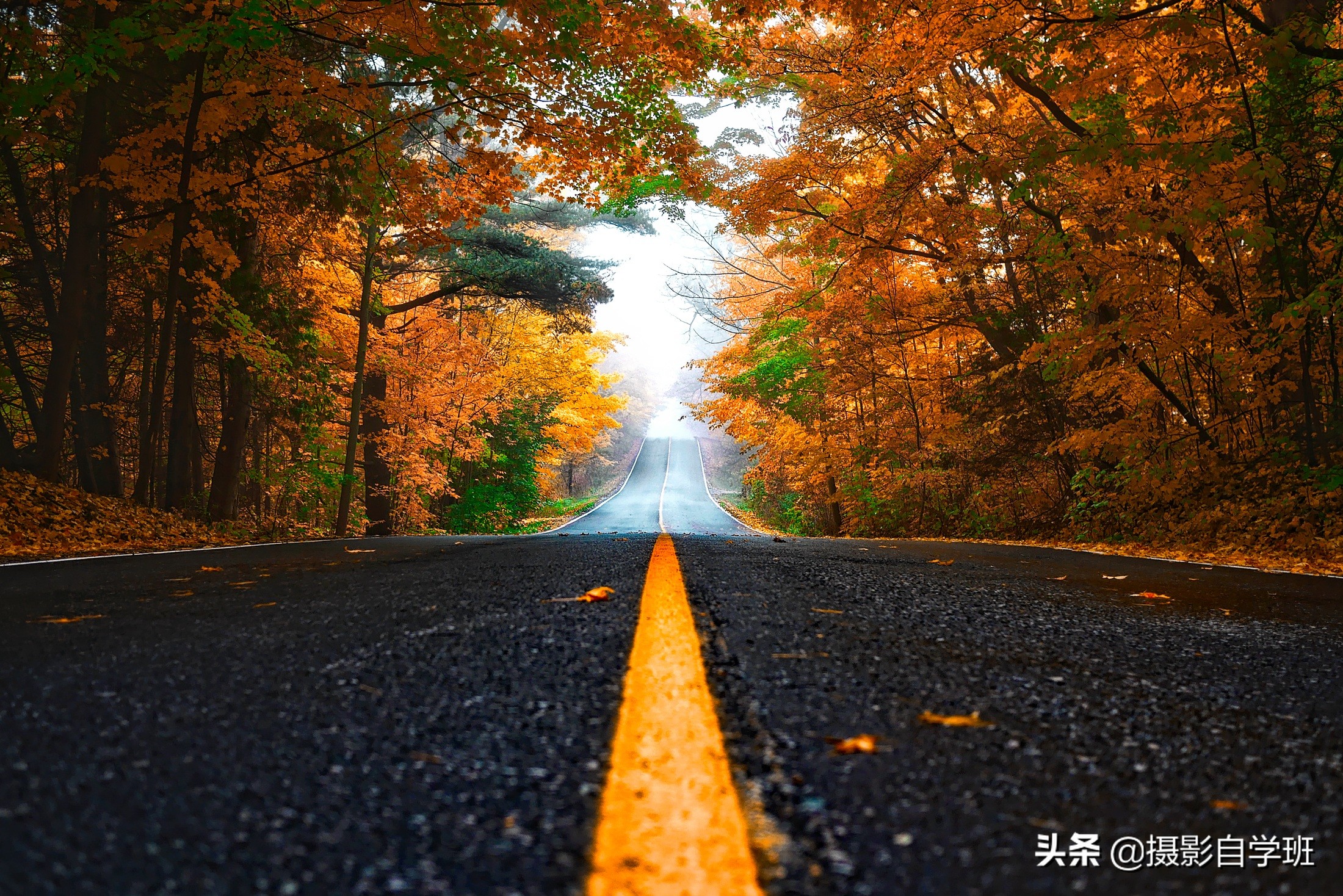 拍照片有万能公式?掌握9大简单摄影原理,拍出千万漂亮摄影作品