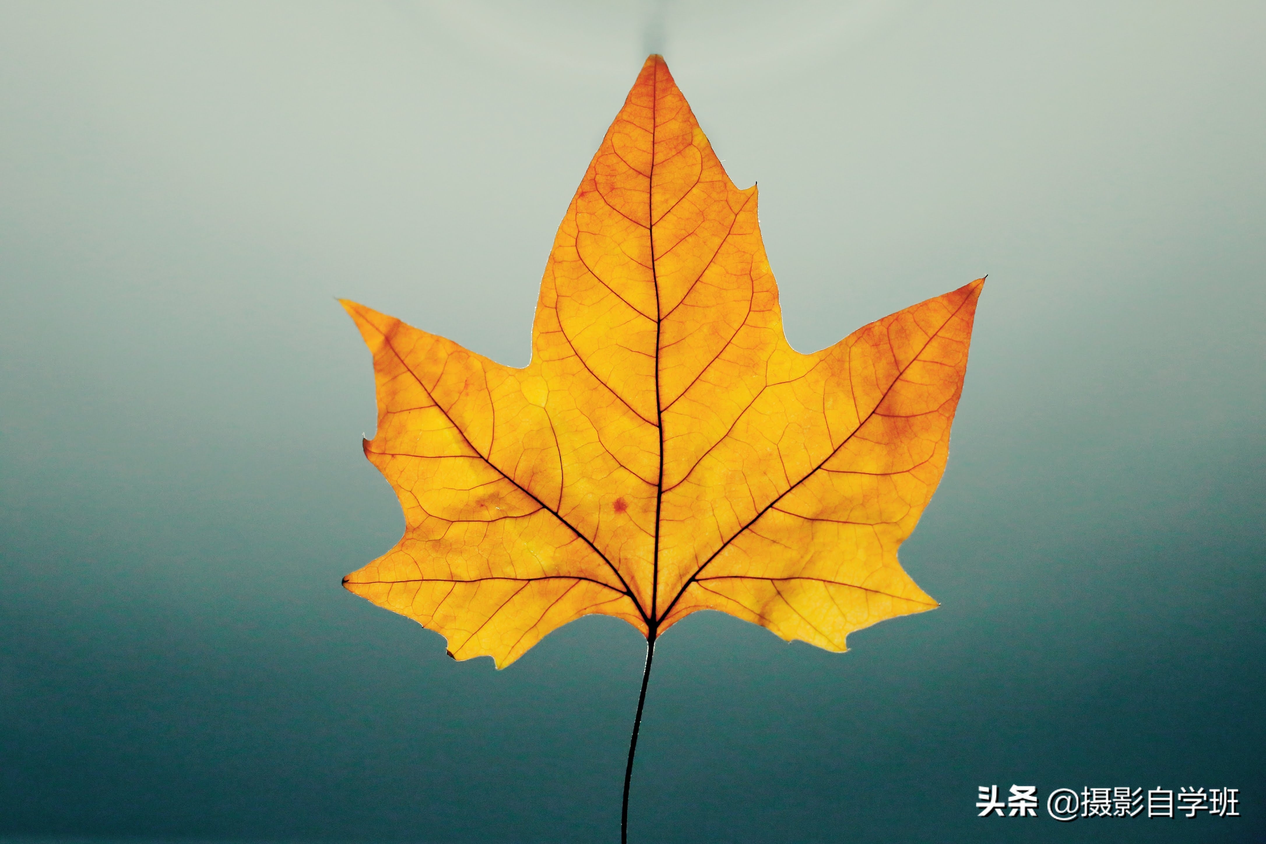 不要把简单当简约!26张摄影作品讲解,12个拍简约的摄影技巧