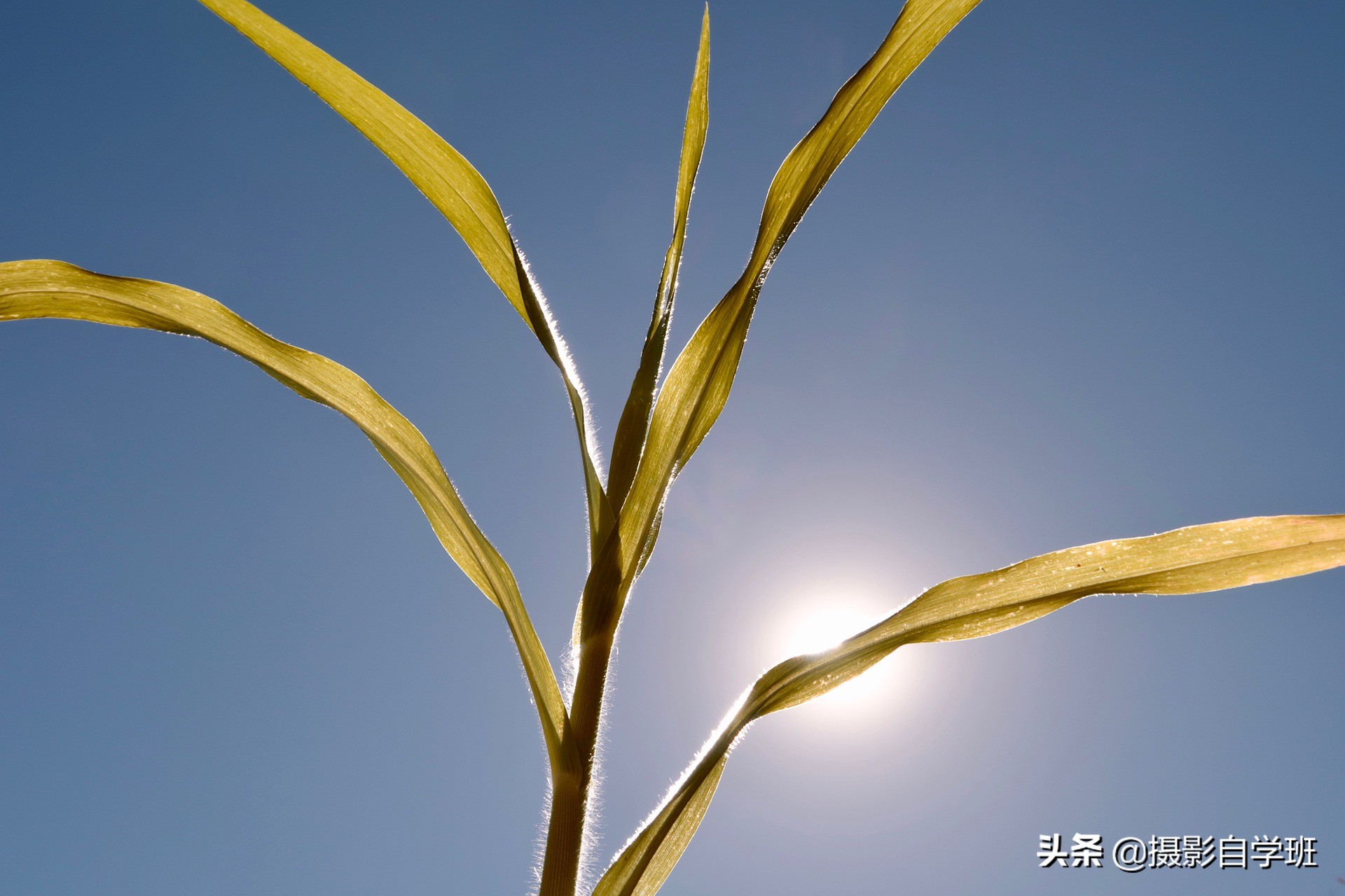 不要把简单当简约!26张摄影作品讲解,12个拍简约的摄影技巧