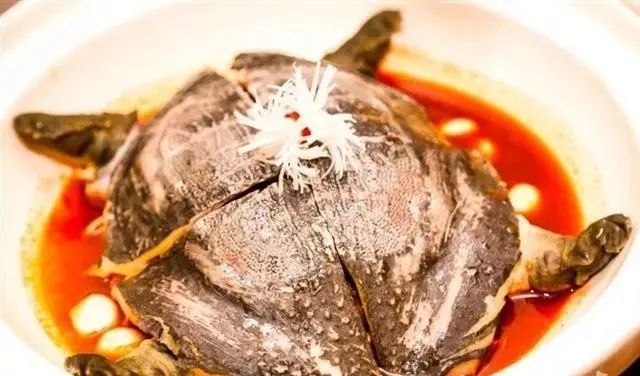 【寻味】闻香识湖北,“十大名菜”请慢用