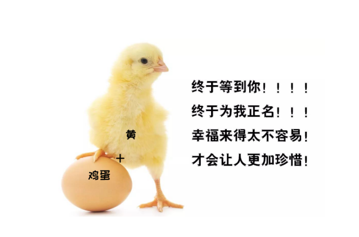 被冤枉的鸡蛋黄告诉你:一天最多可以吃几个鸡蛋?