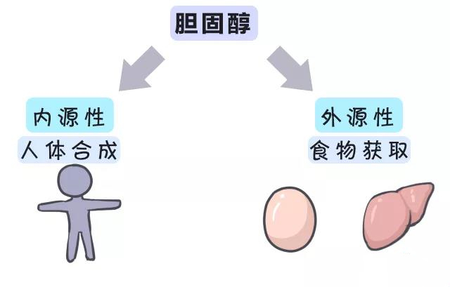 被冤枉的鸡蛋黄告诉你:一天最多可以吃几个鸡蛋?