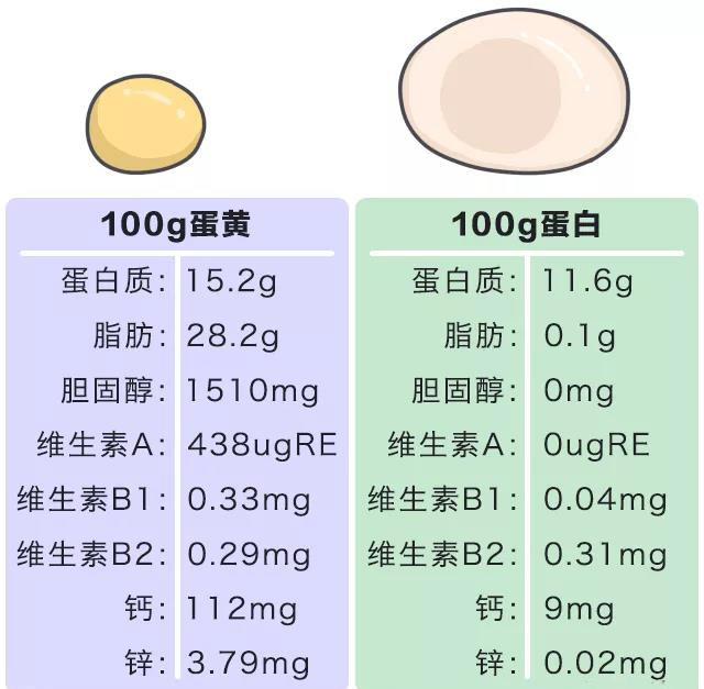 被冤枉的鸡蛋黄告诉你:一天最多可以吃几个鸡蛋?