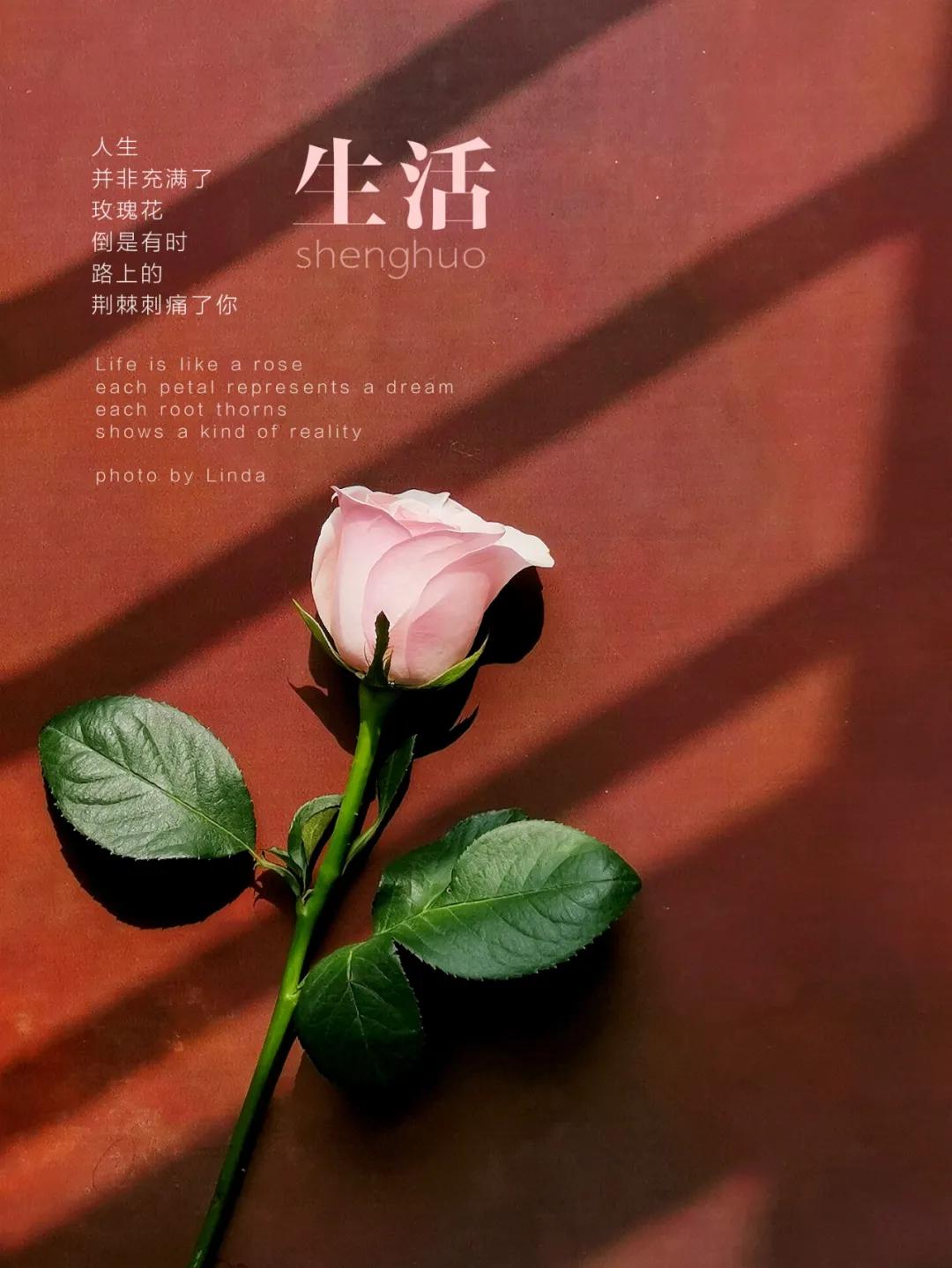 学摄影2年她成了认证摄影师,究竟是怎样做到的?