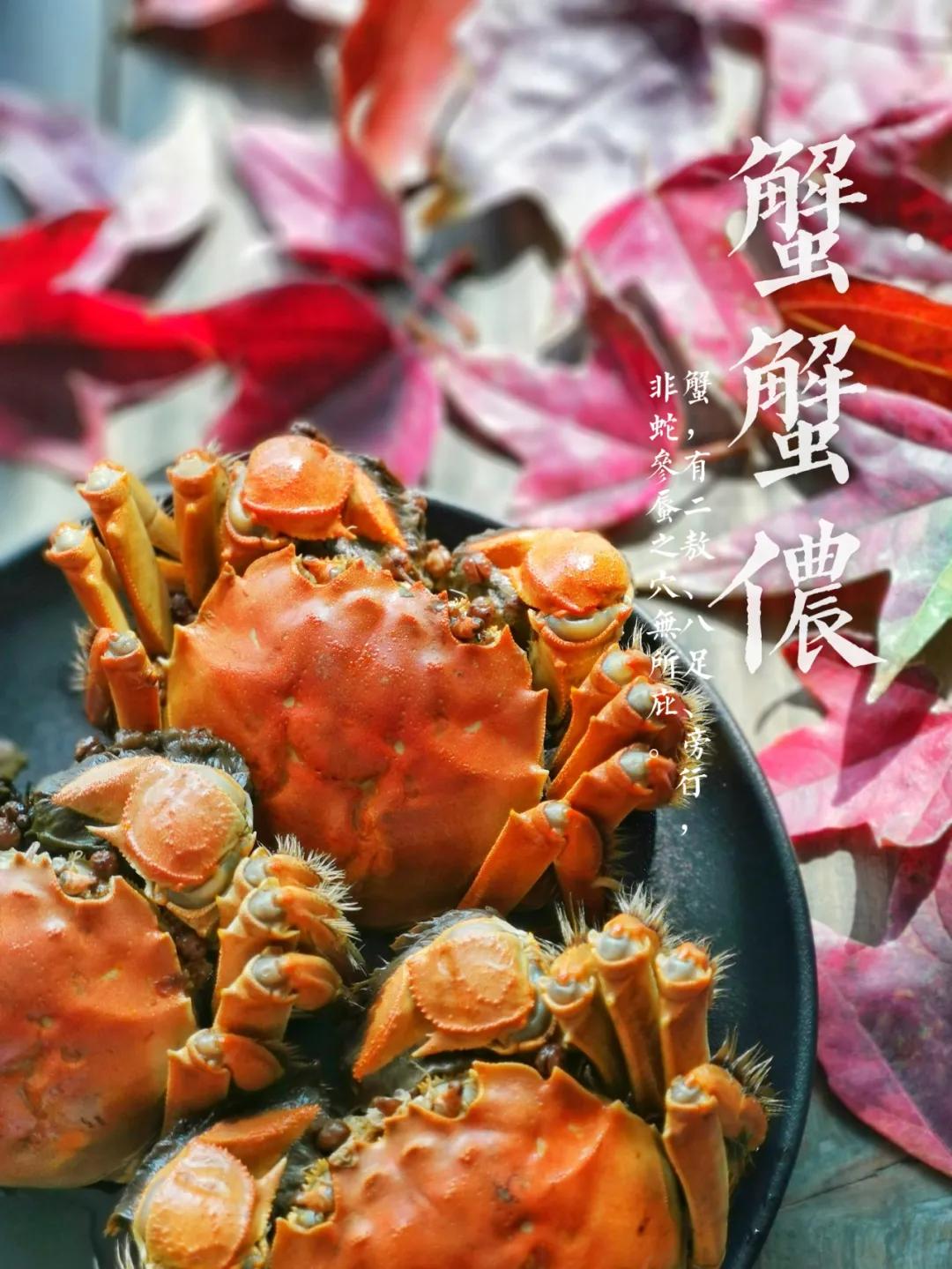 学摄影2年她成了认证摄影师,究竟是怎样做到的?