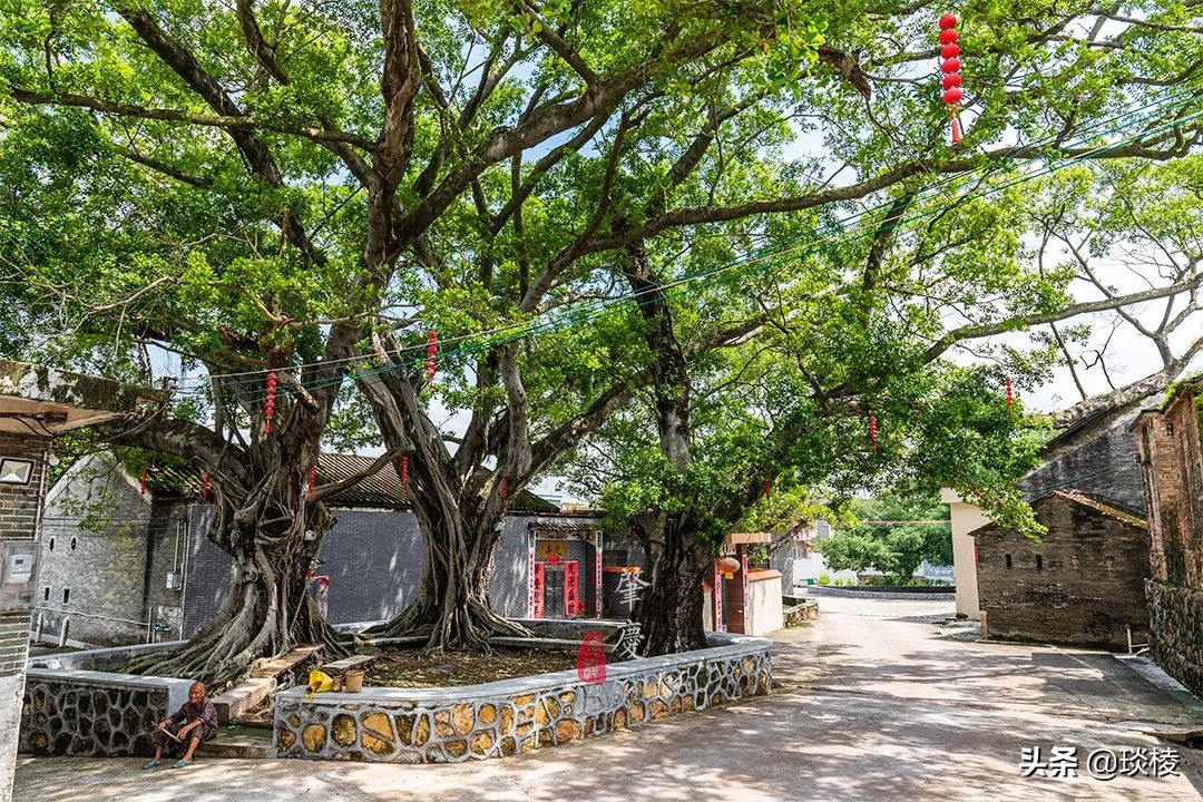 一个玄机重重的“八卦村”,竟用屋墙来做村庄围墙,小偷都会迷路