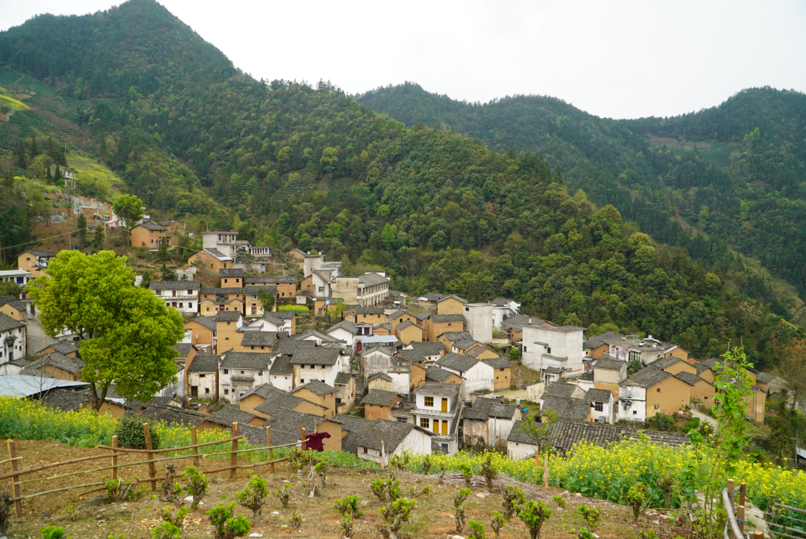 安徽不知名的小山村，1万块钱就能买栋土楼，经常可以看到云海