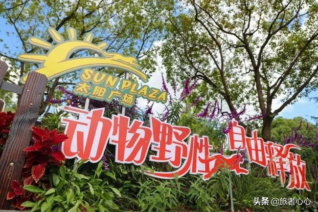 日本最危险的动物园,入园要签“生死状”,可以近距离接触动物